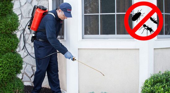 Koyundere Kene İlaçlama böcek ilaçlama ve haşere kontrolü — ilaclama-tr.com